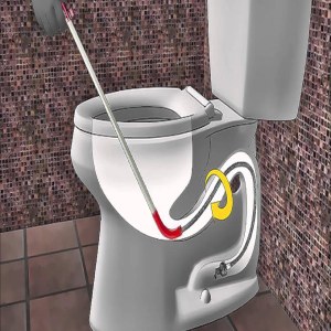 Blocked Toilet
