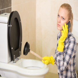 Professional Assessment and Repairs